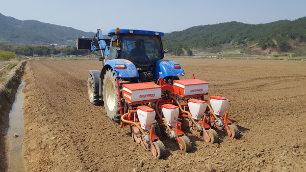 거창군은 2018년, 2019년도에 이어 3년째 논 타작물재배 지원사업을 추진한다./ⓒ거창군