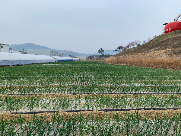 거창군은 지난 26일 농림축산식품부가‘청년 창업농 육성대책’의 일환으로 공모한‘2020년 경영실습 임대농장 조성사업’에 선정됐다./ⓒ거창군