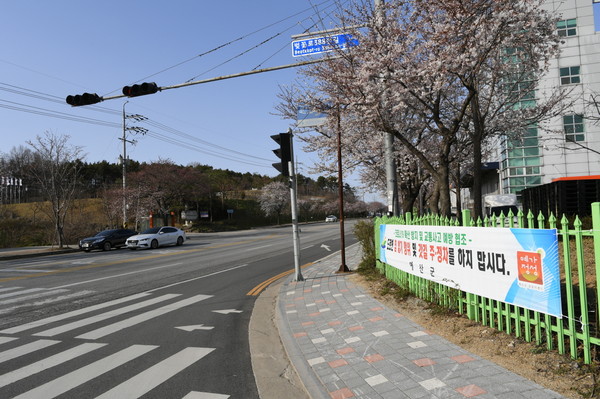 군이 예산읍 벚꽃로에 코로나 예방을 위해 자제를 당부하는 현수막을 내걸었다./ⓒ이종선 기자