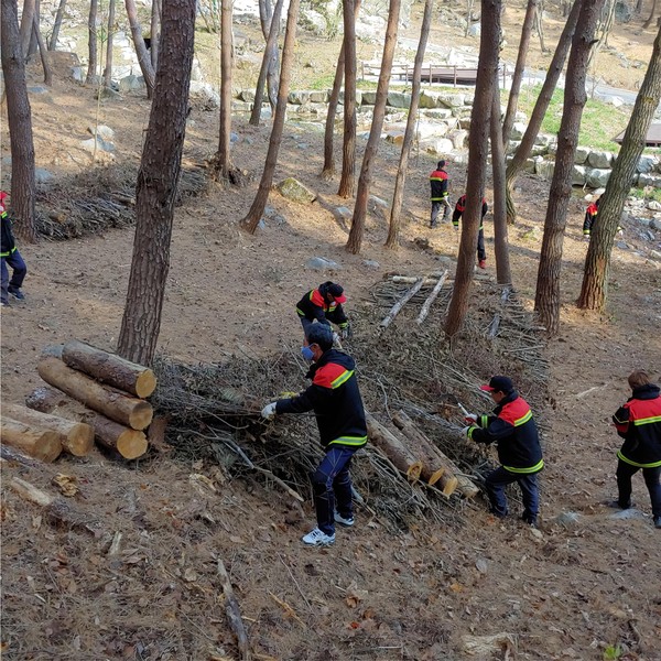 함양군은 지난 2월과 3월, 2회에 걸쳐 재정지원 일자리 사업의 하나인 산림바이오매스 산물수집단원 18명을 채용하는 등 일자리 창출에 앞장서고 있다./ⓒ함양군