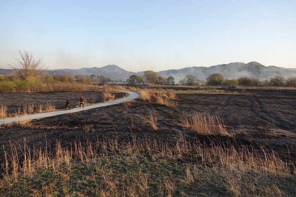 4일 오후 4시 15분쯤 충남 부여군 부여읍 금강변 갈대밭에서 불이 나 1시간 40분만에 진화됐다./ⓒ부여소방서