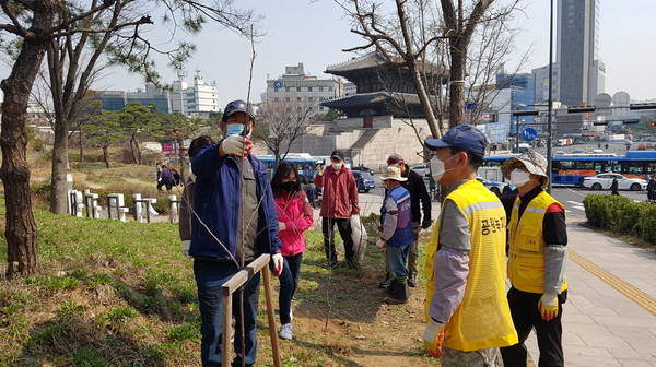 서울 종로구 성곽공원에 지난해 조성된 예산사과나무 전정작업 모습./ⓒ예산군청