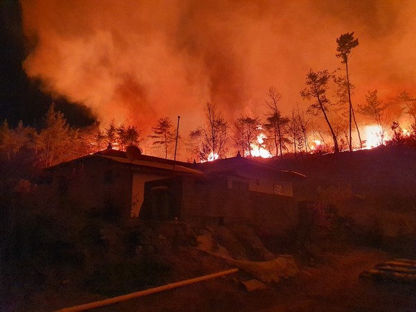 12일 오후 7시 16분쯤 충남 서산시 대산읍 화곡리 한 야산에서 원인 모를 산불이 나 10여시간이 지난 13일 오전 7시 현재 진화작업을 벌이고 있다./ⓒ서산시청