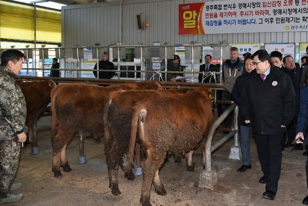 경주시 가축시장, 두 달여 만에 재개장/Ⓒ경주시청