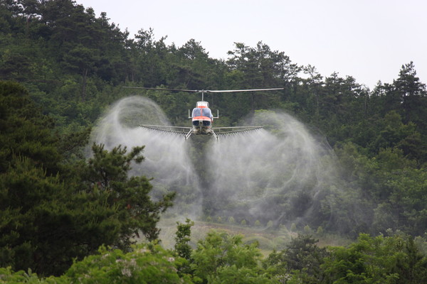 청양산림항공관리소는 감염 된 야생멧돼지가 추가적으로 발생함에 따라 재 확산을 막기 위해 헬기를 이용한 긴급 항공방역을 실시한다고 14일 밝혔다.Ⓒ청양산림항공관리소