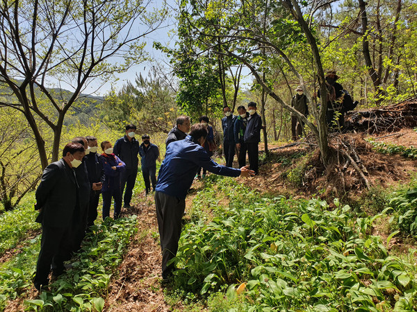 산청군이 최근 새로운 임업 소득작물로 떠오르고 있는 산나물의 재배기술 노하우를 지역 농업인들과 공유하는 현장교육을 가졌다./ⓒ산청군