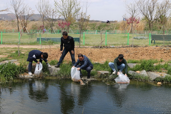 충남 보령시 시설관리공단은 22일 생태연못 안에 2000마리의 관상어를 방생했다.Ⓒ보령시 시설관리공단