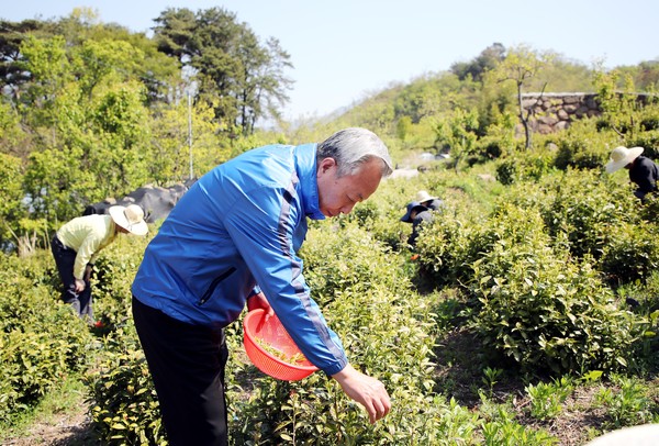 하동군은 갑작스러운 이상기온으로 인한 냉해 발생과 코로나19 장기화로 인한 사회적 거리두기 등으로 일손이 부족한 녹차 재배 농가 지원을 위해 지난 20일부터 29일까지 일손돕기를 추진했다./ⓒ하동군