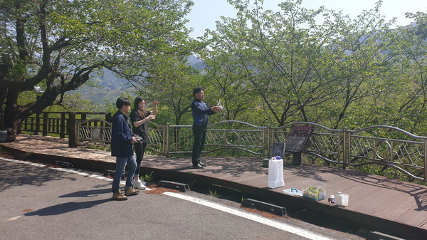 하동군은 환경부 국립생물자원관과 전남대학교 산학협력단이 시행하는 ‘자생생물 유래 천연식물보호활성 물질 탐색’ 사업과 협력을 통해 화개 십리벚꽃길에 미생물 드론방제를 실시했다./ⓒ하동군