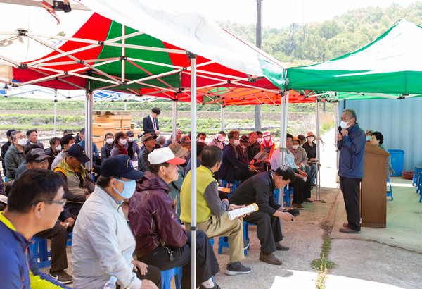 충남 청양지역 구기자 재배농가들이 1000억 소비시장 창출 움직임에 적극 나섰다.©청양군청