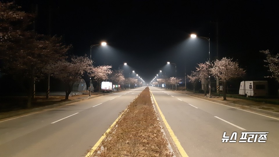 충남산림자원연구소 태안사무소가 2억 6000만 원을 투입, 안면도 관광지 주 진입로 일대 노후 가로등을 LED로 전면 교체했다./ⓒ충남도청