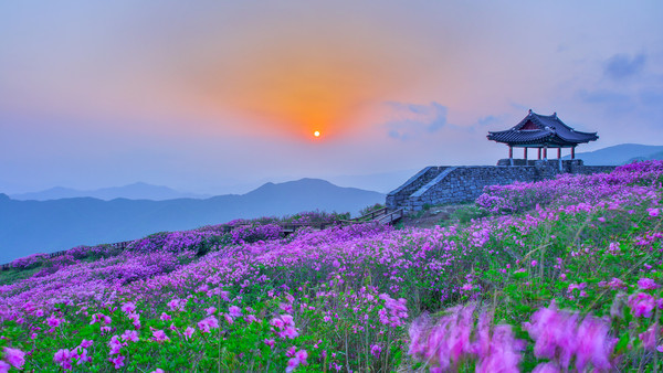 산청군은 코로나19로 인한 사회적 거리두기가 생활 속 거리두기로 전환됨에 따라 9일부터 황매산 철쭉 산행을 허용한다./ⓒ산청군