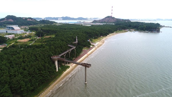 충남 서천군은 마량리 동백나무숲 등 38개소에 대해 재개장 한다.©서천군청