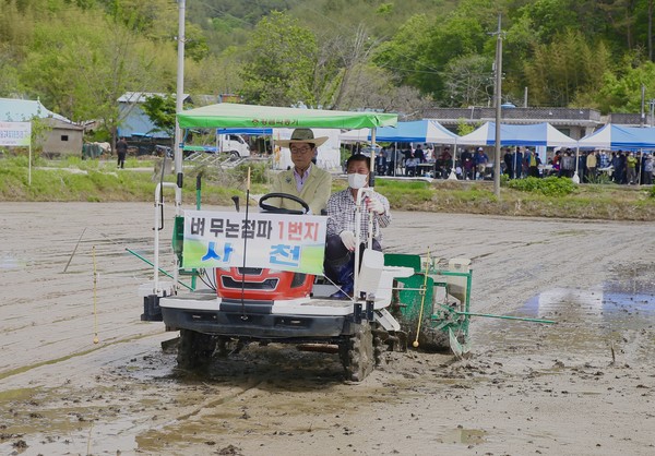 벼 무논점파 재배기술 교육 및 파종 연시회 모습./ⓒ사천시