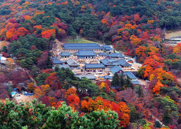 해인사./ⓒ합천군