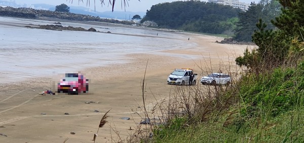 24일 보령 독산해수욕장서 50대 여성이 견인차량에 치여 숨졌다.Ⓒ보령해양경찰서