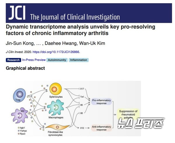 관절염 회복을 돕는 유전자를 도출해 관절염 회복을 모니터링을 할 수 있는 바이오마커로서의 가능성을 제시한 가톨릭대 김완욱 교수팀 연구는 기초의학 국제학술지‘저널 오브 클리니컬 인베스티게이션(Journal of Clinical Investigation)’ 5월 14일 발표됐다./ⓒ저널 오브 클리니컬 인베스티게이션·가톨릭대 김완욱 교수팀
