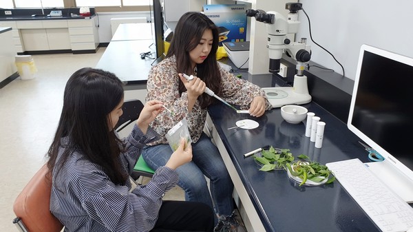 함양군은 최근  농작물에 각종 병해충이 늘어나고 있고 특히 고추 등 채소류에 바이러스, 청고병 등이 문제가 되고 있어 진단키트를 이용 이들 병해충을 조기에 진단하여 농업인들이 방제에 활용토록 하고 있다./ⓒ함양군