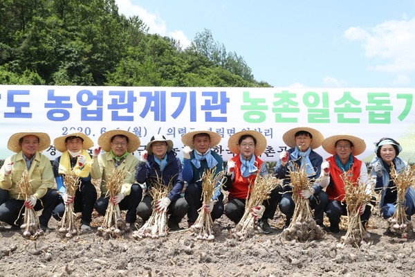 의령군에 따르면 경남도 및 도단위 농업유관기관 직원들이 1일 의령군 부림면 입산리의 마늘농가를 찾아 농촌일손돕기 활동에 동참했다./ⓒ의령군