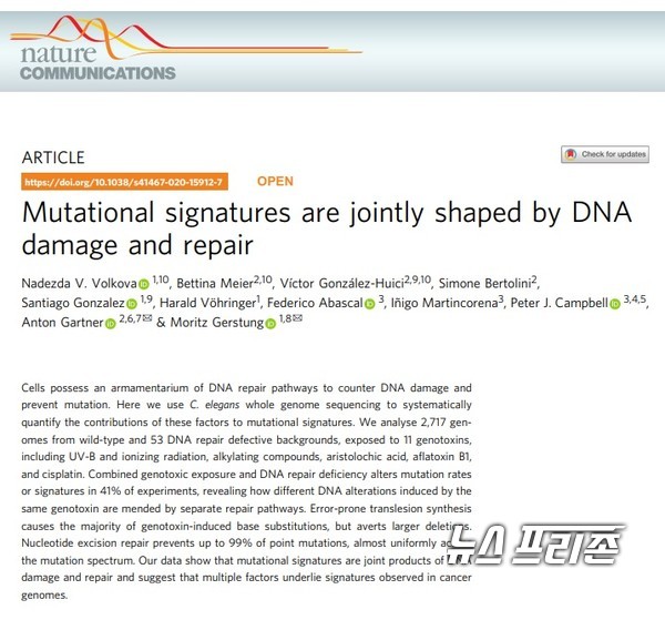 발암 물질로 인한 DNA 손상과 함께 DNA 복구 메커니즘이 돌연변이 발생 양상을 결정함을 밝힌 기초과학연구원(IBS) 유전체 항상성 연구단 등 국내외 연구는 네이쳐 커뮤니케이션즈(Nature Communications, IF 11.878) 5월 1일 게재됐다./ⓒ네이쳐 커뮤니케이션즈