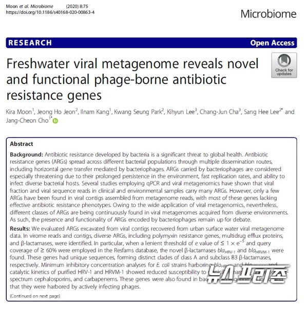 한강에 존재하는 파지에서 항생제 내성의 원인이 되는 유전자를 찾고 이를 한강 바이롬 베타락탐 분해효소(HRV) 등으로 명명한 인하대 조장천 교수팀 등 국내연구는 국제학술지 마이크로바이옴(Microbiome)에 6월 1일 게재됐다./ⓒ마이크로바이옴·인하대 조장천 교수팀
