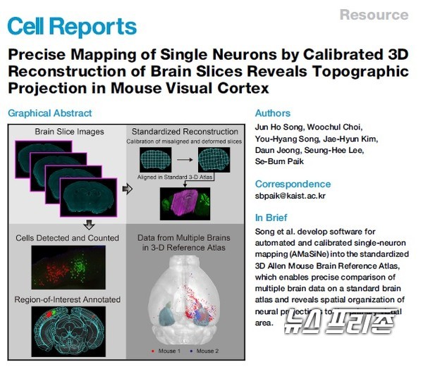뇌신경과학 연구에서 광범위하게 사용되는 실험용 쥐의 뇌 절편 영상을 자동으로 보정하고 규격화해 신경세포의 3차원 분포정보를 정확하게 얻을 수 있는 핵심 분석 기술을 개발한 카이스트 백세범 교수팀 연구결과는 ‘셀 리포츠(Cell Reports)’ 에 5월 26일 게재됐다./ⓒ셀 리포츠·카이스트 백세범 교수팀