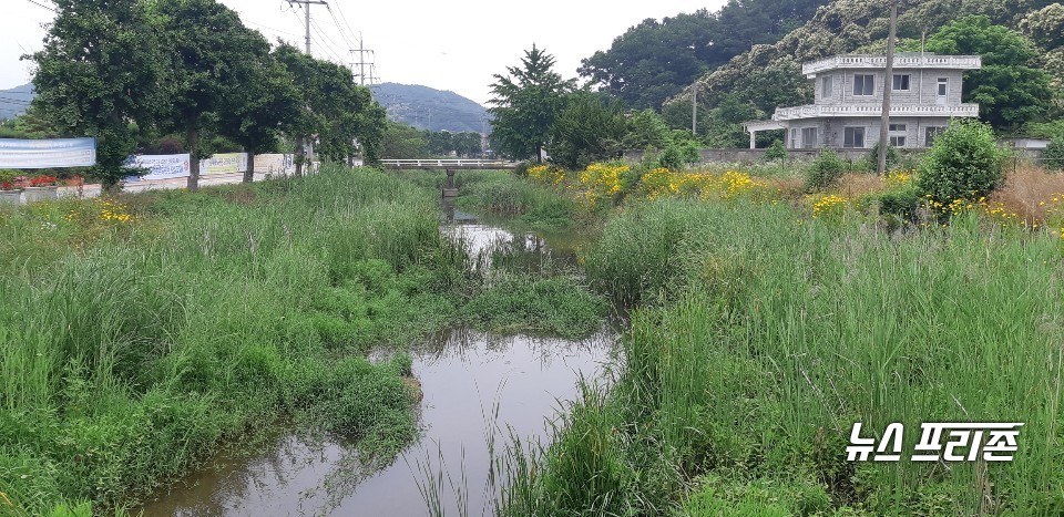 충남 공주시가 도가 실시한 ‘2021년 지방하천 정비사업’ 공모에서 의당면 청룡천이 치열한 경쟁을 뚫고 최종 선정됐다./ⓒ공주시청