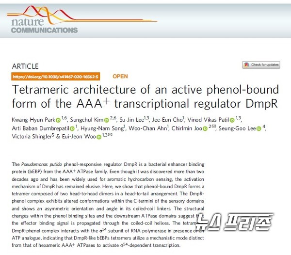 페놀류 환경유해물질 분해 촉진 단백질(감지 전사인자, DmpR; di-methyl phenol regulator)의 작용 원리와 3차원 구조를 규명한 한국생명공학연구원 등 국내외 연구는 생물학 분야의 세계적 저널인 네이처 커뮤니케이션즈(Nature communication)에 6월 1일 게재됐다./ⓒ네이처 커뮤니케이션즈·생명공학연구원