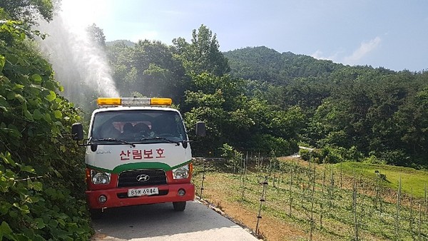 거창군은 농경지와 산림에 발생하는 돌발해충 갈색날개매미충의 발생밀도를 낮추고 주변 농가의 민원을 해소하기 위해 지난 3월 말 월동난 방제를 시작으로 현재 약충기 공동방제를 시행하고 있다./ⓒ거창군