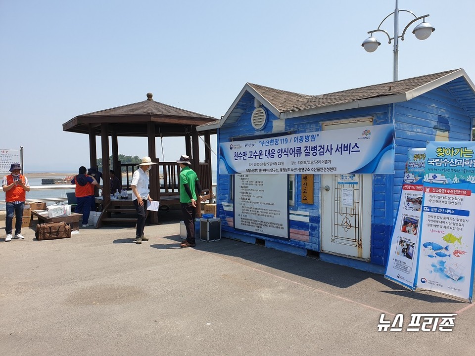 충남도 수산자원연구소는 천수만 일대 양식장을 대상으로 서해수산연구소와 함께 ‘찾아가는 이동병원’을 운영했다./ⓒ충남도청