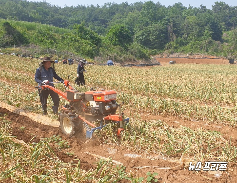 농기계 인력지원단 모습.(사진제공=단양군)