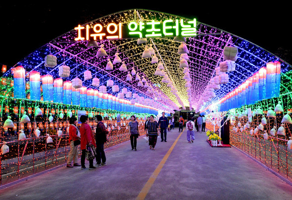 ​2019 산청관광사진 공모전 입상작 산청한방축제 치유의터널/ⓒ산청군​