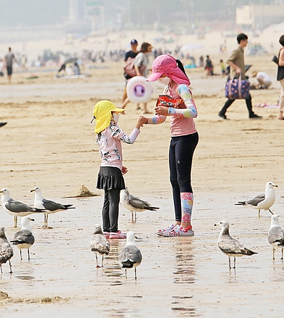 27일 마지막 주말을 맞아 충남 보령시 대천해수욕장을 찾은 자매가 백사장에서 갈매기에게 새우깡을 주기위해 봉지를 개봉하고 있다.©보령시청