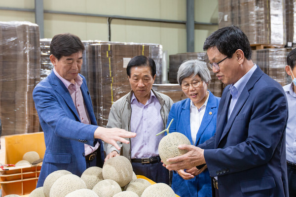 김돈곤 군수(오른쪽)가 청양멜론을 살펴보고 있다.©청양군청