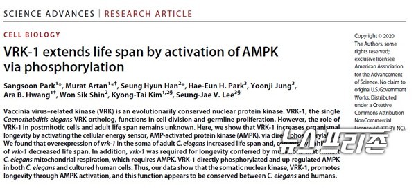 예쁜꼬마선충에서 세포의 에너지 센서(AMPK 효소)를 활성화함으로써 수명연장을 돕는 새로운 장수유도 단백질(VRK-1)의 기전을 규명한 카이스트 이승재 교수팀 등 국내연구는 국제학술지‘사이언스 어드밴시스(Science Advances)’에 7월 2일 게재됐다./ⓒ사이언스 어드밴시스·카이스트 이승재 교수팀