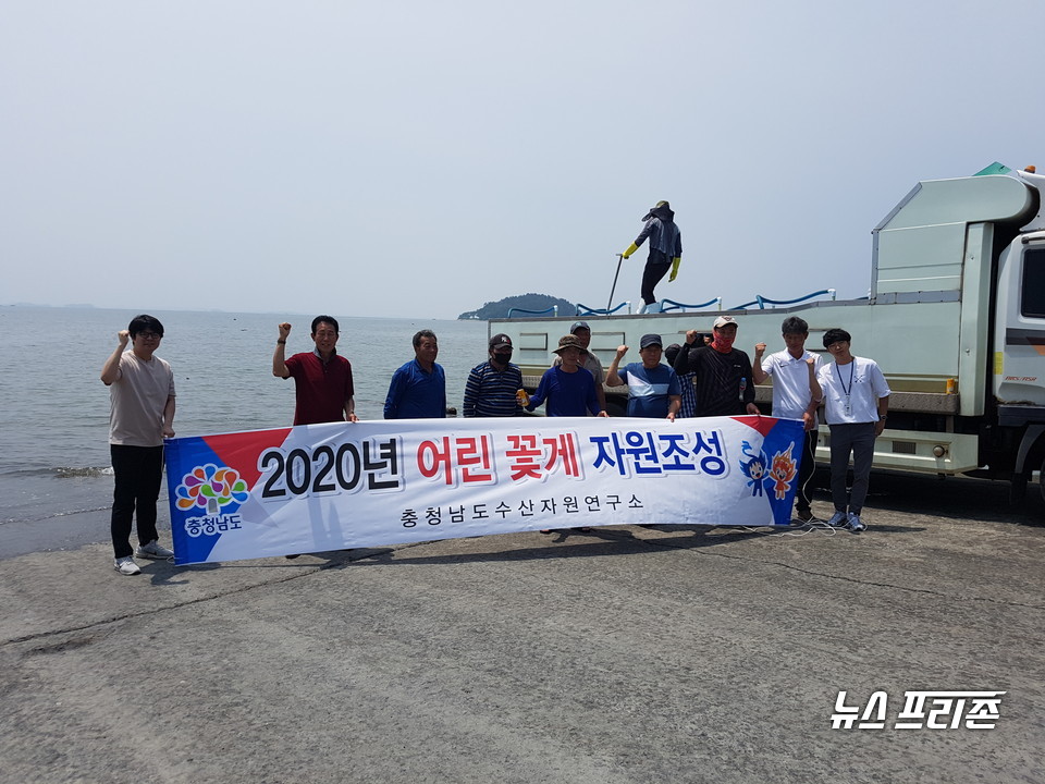 충남도 수산자원연구소는 도내 6개 시·군 연안 해역에 어린 주꾸미 60만 마리와 어린 꽃게 62만 마리를 각각 방류했다./ⓒ충남도청