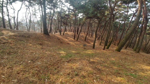 부여 나성(서나성) 추정 성벽선 예상 구간 전경./ⓒ부여군