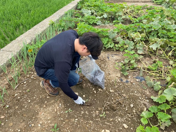 단호박 토양‧용수 분석 및 단호박 모습./ⓒ남해군