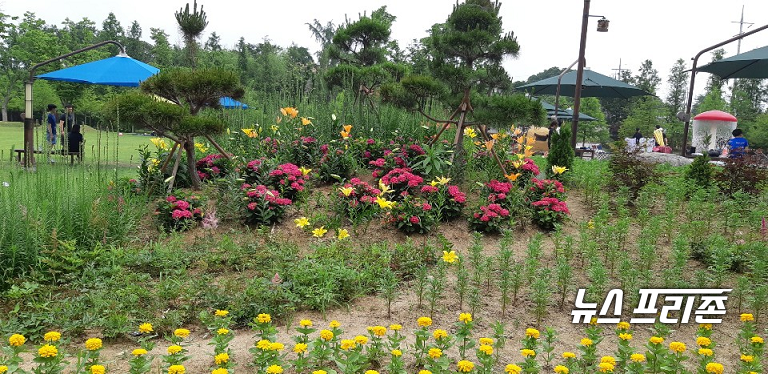 충남 논산시민들의 힐링공간으로 자리매김한 논산시민공원에 여름을 알리는 꽃들이 활짝 피었다./ⓒ논산시청