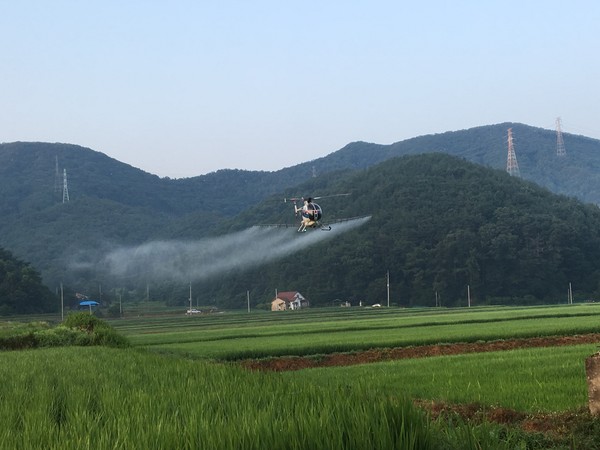 헬기 항공방제 장면.©보령시청