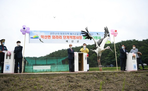 방사장에서 황새가 자연의 품으로 힘차게 비상하고 있다./ⓒ예산군청