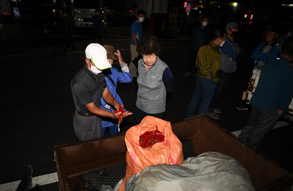 28일 새벽 읍내시장 주차장이 고추 상거래로 북새통을 이루고 있다./ⓒ예산군청