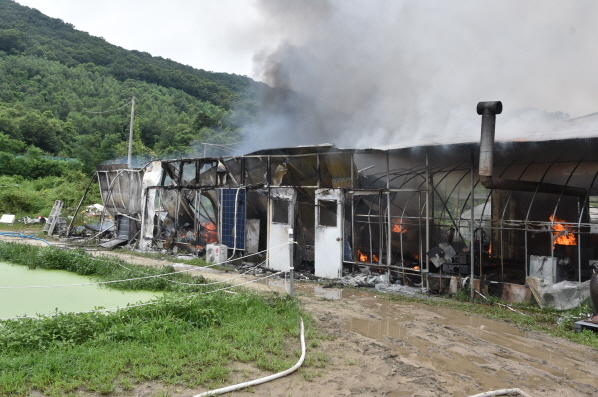 29일 1시 27분쯤 충남 논산시 연산면 화학리 한 주택에서 불이 나 1시간만에 진화됐다./ⓒ논산소방서