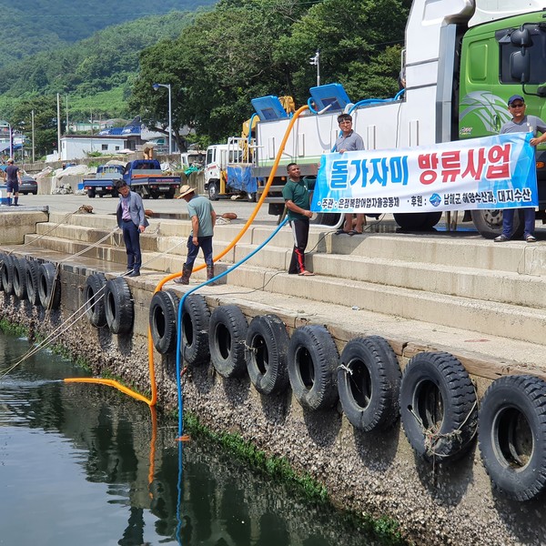 남해군 삼동면 은점해역 돌가자미 방류 모습./ⓒ남해군