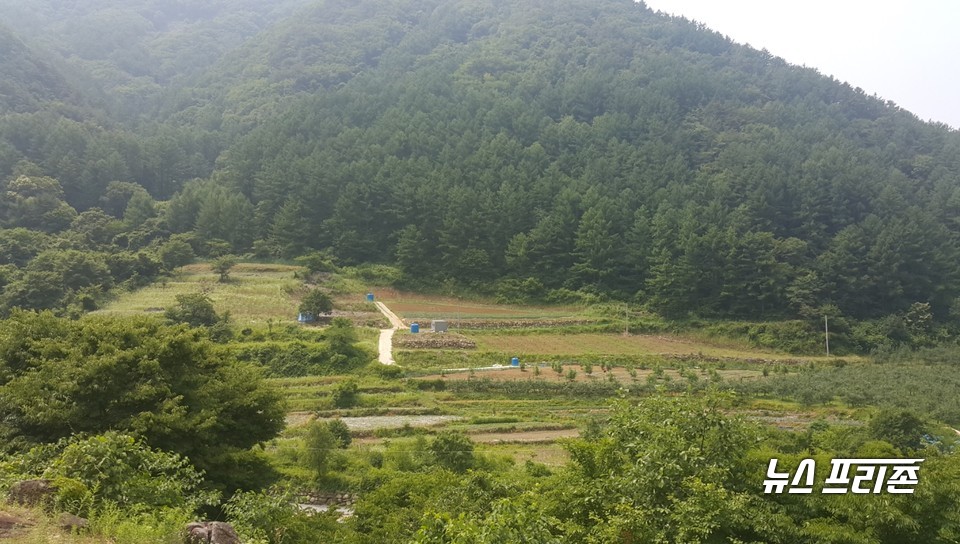 대강면 용부원1리 사업대상지 모습.(사진제공=단양군)