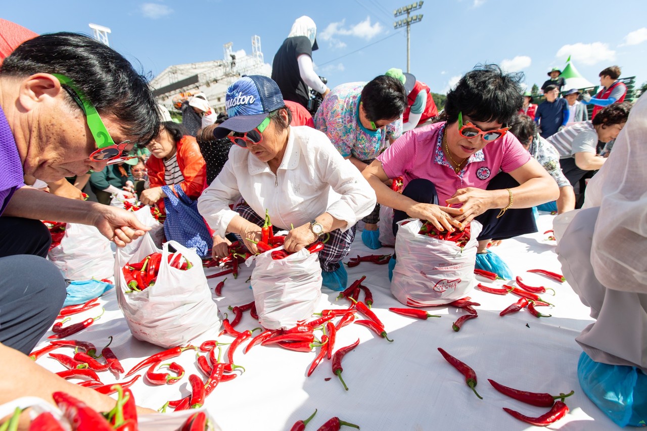 청양고추 축제 장면.©청양군청