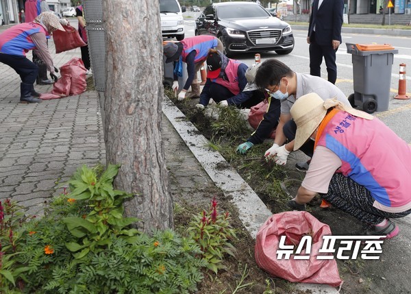 괴산읍 3개 단체 회원들은 괴산읍 주요 시가지의 상가와 도로를 돌며 제초작업과 쓰레기 수거를 함께 했다./ⓒ=괴산군