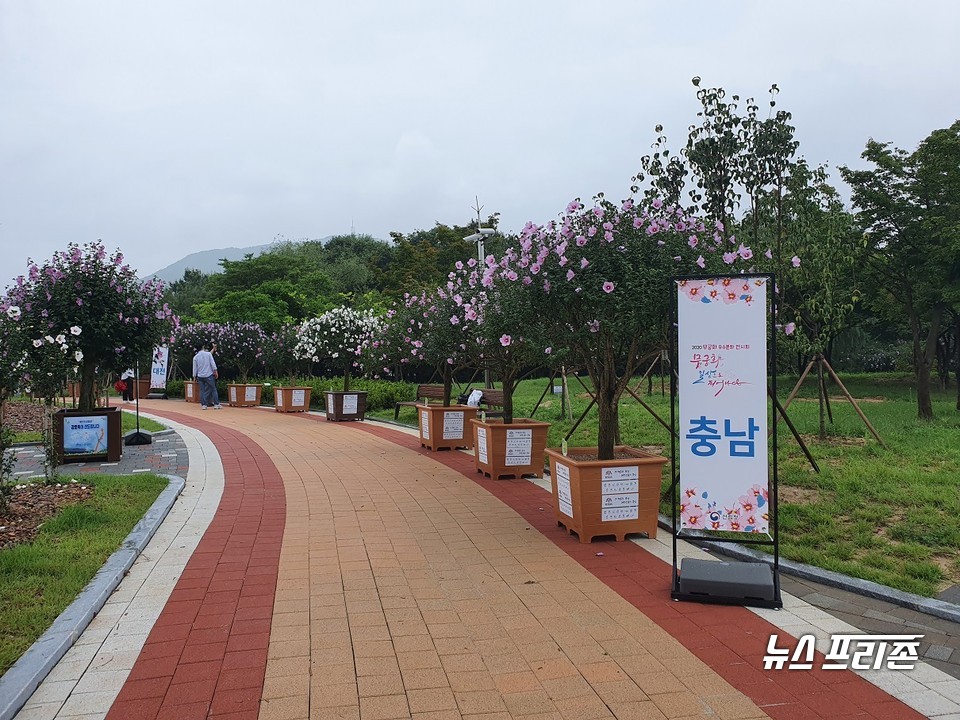 충남도가 천안 독립기념관에서 열린 산림청 주관 ‘제30회 나라꽃 무궁화 우수분화 품평회’에서 단체부분 대통령상을 차지했다./ⓒ충남도청