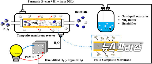 암모니아로부터 고순도의 수소를 추출하고 전력을 발생시키는 기술을 개발해 대용량의 수소를 장거리 운송할 수 있는 수소운반체로서의 암모니아 가능성을 확인한 한국과학기술연구원(KIST) 수소·연료전지연구단 연구는 분리막 분야 권위지인 저널 오브 멤브레인 사이언스(Journal of Membrane Science, JCR 분야 상위 2.809%)에 7월 26일 게재됐다./ⓒ저널 오브 멤브레인 사이언스·KIST