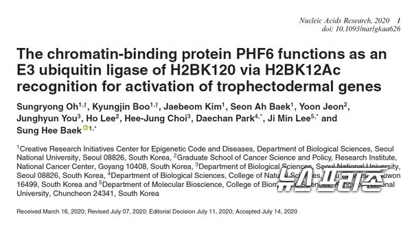 태반발달에 중요한 신규인자를 발견하여 초기 태아 성장 및 영양공급의 새로운 단서를 찾은 강원대 이지민 교수팀 등 국내연구는 국제학술지 뉴클레익 액시드 리서치(Nucleic Acids Research)에 7월 31일 게재됐다./ⓒ뉴클레익 액시드 리서치·강원대 이지민 교수팀